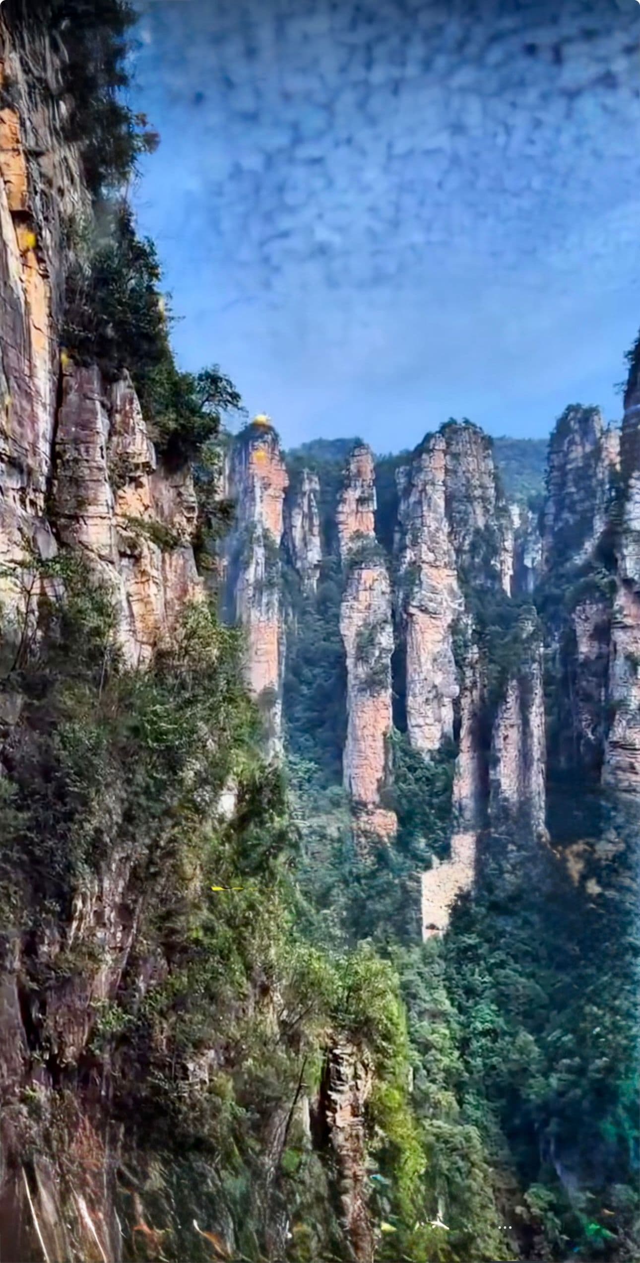 Tesoros de China  gallery image 226
